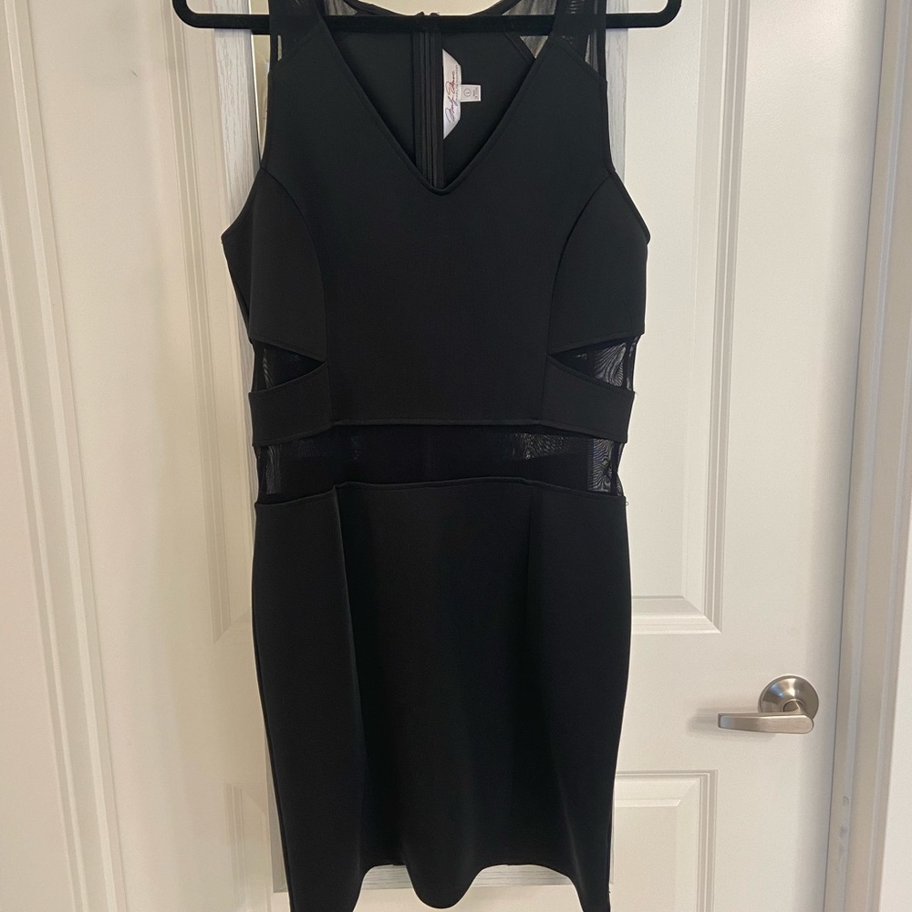 SHEER LITTLE BLACK DRESS